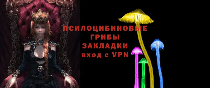 МЕГА онион  Новотроицк  Галлюциногенные грибы Psilocybe  закладка 